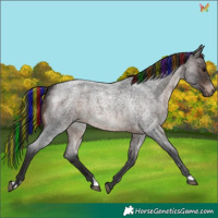 Horse Color:Painted Brown Roan 