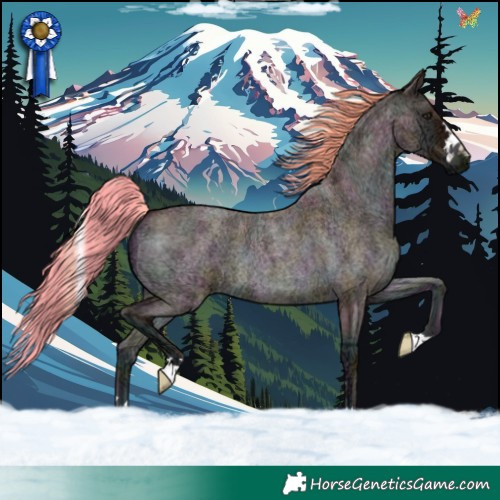 Horse Color:Watercolor Midnight Red Onyx Ice Roan 