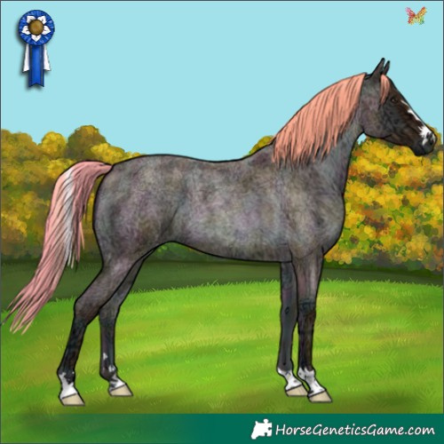 Horse Color:Watercolor Midnight Red Onyx Ice Roan 