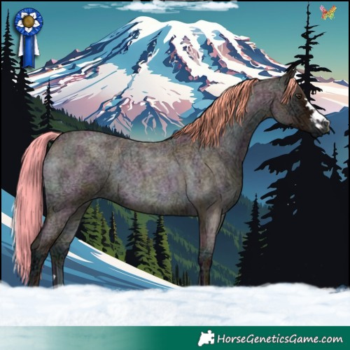 Horse Color:Watercolor Midnight Red Onyx Ice Roan 