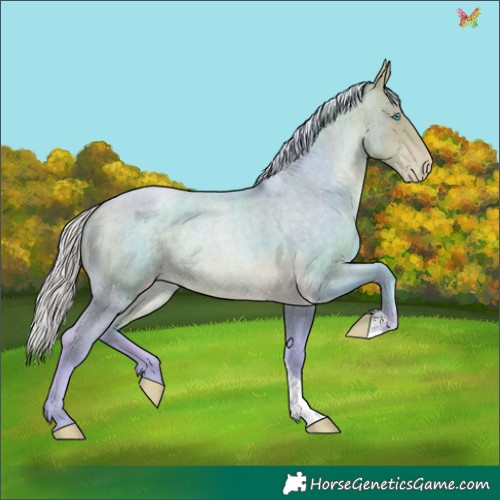 Horse Color:Watercolor Silver Buckskin Roan Pearl Tobiano