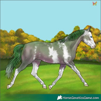 Horse Color:Watercolor Sable Champagne Sabino Splash 
