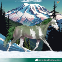Horse Color:Watercolor Sable Champagne Sabino Splash