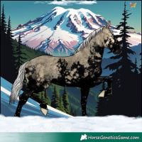 Horse Color:Void Silver Amber Cream Champagne Roan Splash 