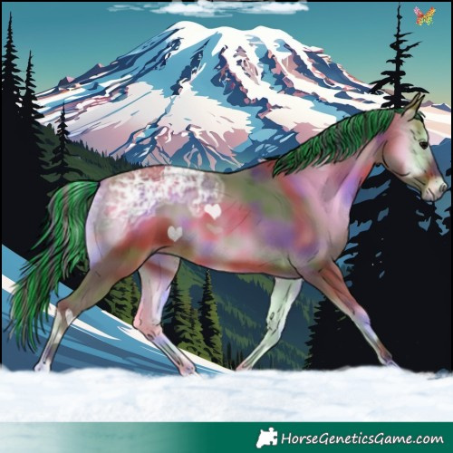 Horse Color:Painted Nacre Bay Ice Onyx 