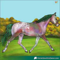 Horse Color:Painted Nacre Bay Ice Onyx 