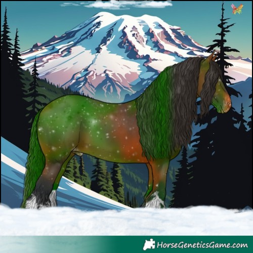 Horse Color:White Spotted Bay Appaloosa 