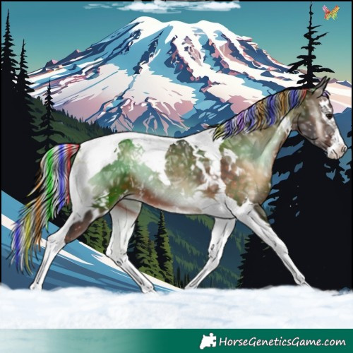 Horse Color:Painted White Spotted Silver Brown Ice Onyx Splash Tobiano 