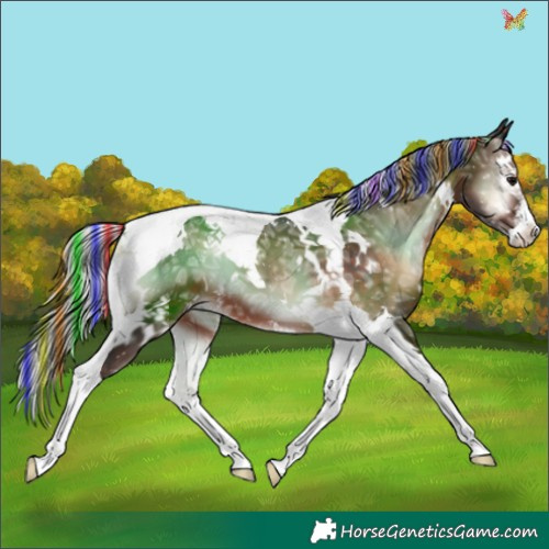 Horse Color:Painted White Spotted Silver Brown Ice Onyx Splash Tobiano 