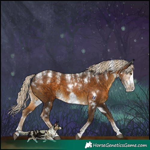 Horse Color:Powder White White Spotted Chocolate Palomino Frame 