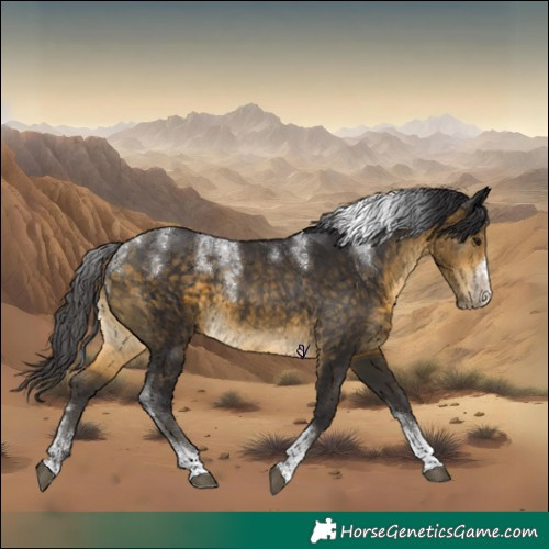 Horse Color:Powder White Buckskin Tobiano Frame 