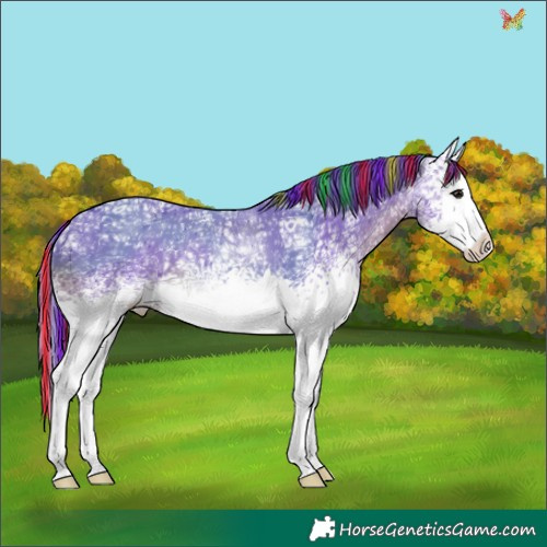 Horse Color:Painted Watercolor White Spotted Black Ice Splash 