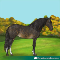 Horse Color:Powder White Buckskin 