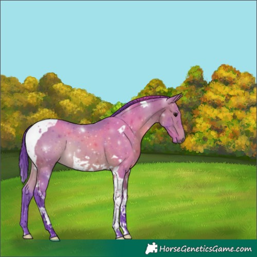 Horse Color:Watercolor Bay Tobiano 