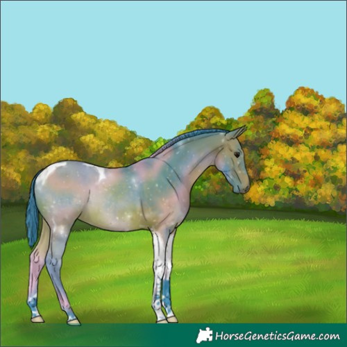 Horse Color:Watercolor Bay Tobiano 