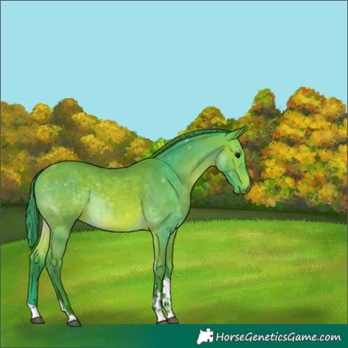 Horse Color:Watercolor Bay Tobiano 