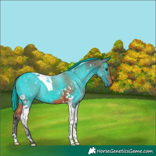 Horse Color:Bay Tobiano 