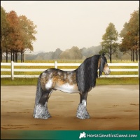 Horse Color:Powder White Buckskin Splash Frame 