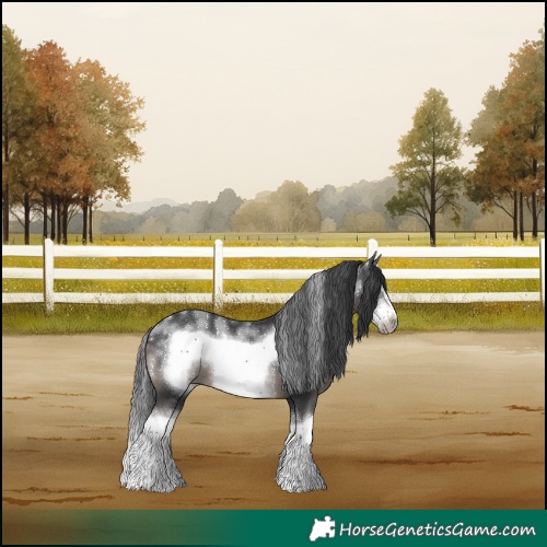 Horse Color:Powder White Black Splash Frame 