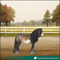 Horse Color:Powder White Buckskin Frame 