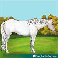 Horse Color:Silver Brown Roan Dun Tobiano Snowcap 