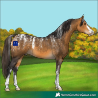 Horse Color:Powder White Buckskin 