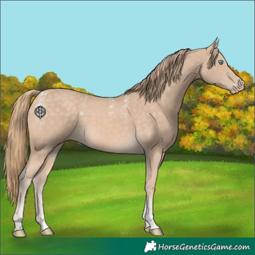 Horse Color:Powder White Perlino 
