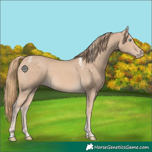 Horse Color:Powder White Perlino 