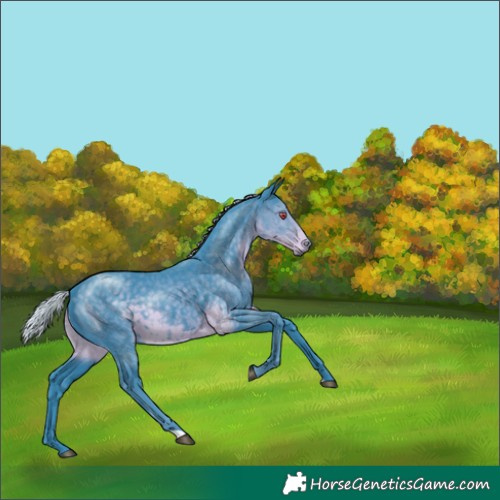 Horse Color:Watercolor Silver Smoky Black Chinchilla 