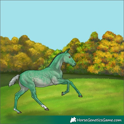Horse Color:Watercolor Silver Black Chinchilla 