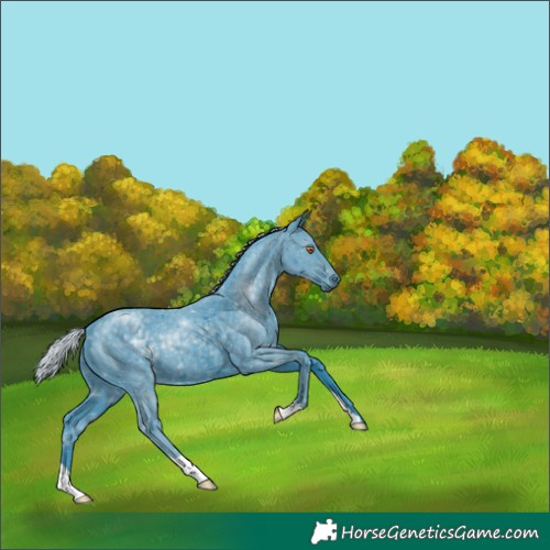 Horse Color:Watercolor Silver Black Chinchilla 