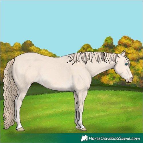 Horse Color:Perlino 
