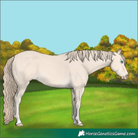 Horse Color:Perlino 