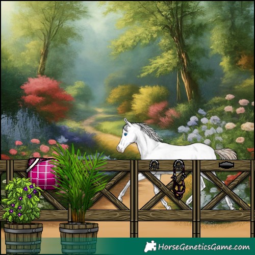 Horse Color:Classic Cream Champagne Pearl Sabino Splash 