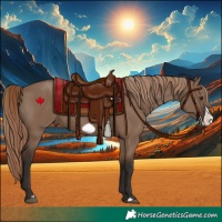 Horse Color:Liver Red Dun Frame 