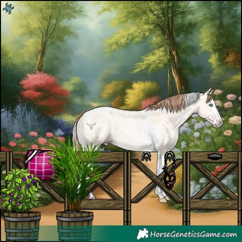 Horse Color:Classic Cream Champagne Pearl Dun Splash Tobiano 