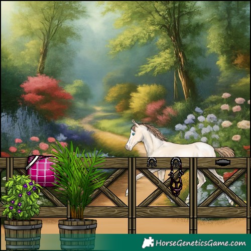 Horse Color:Classic Cream Champagne Pearl Sabino Splash 