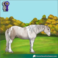 Horse Color:Powder White Silver Grullo Tobiano 