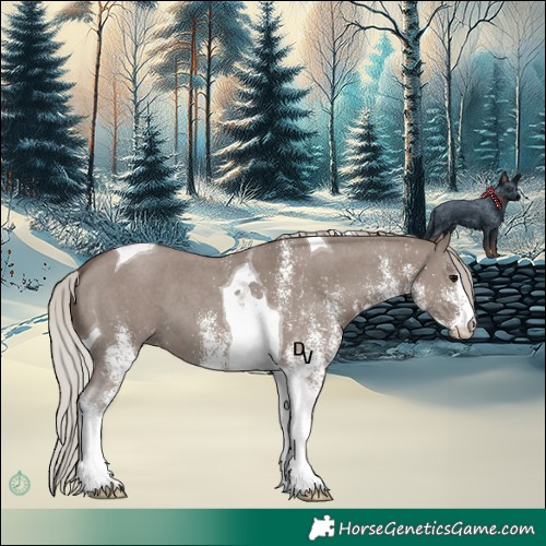 Horse Color:White Spotted Silver Grullo Tobiano 