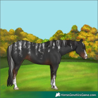 Horse Color:Powder White Liver Chestnut 