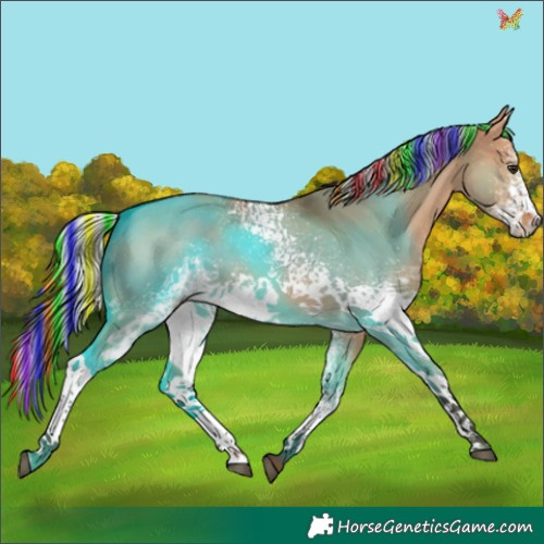 Horse Color:Painted White Spotted Silver Bay Dun 