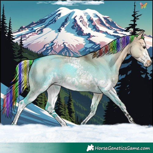 Horse Color:Painted White Spotted Silver Bay Dun 