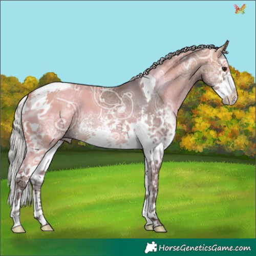 Horse Color:White Spotted Silver Brown Ice Dun Splash Tobiano 
