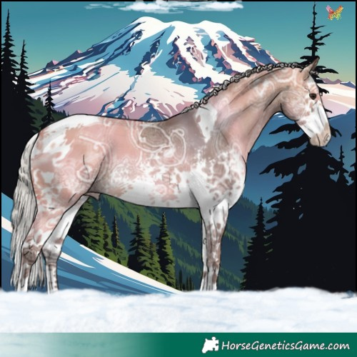 Horse Color:White Spotted Silver Brown Ice Dun Splash Tobiano 