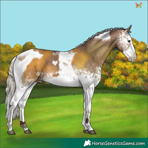 Horse Color:White Spotted Silver Brown Dun Splash Tobiano 