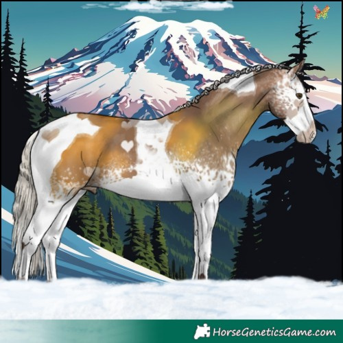 Horse Color:White Spotted Silver Brown Dun Splash Tobiano 