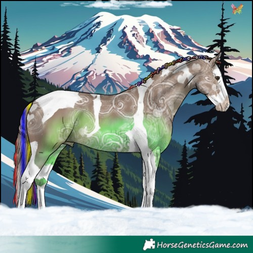 Horse Color:Painted Liver Red Dun Ice Splash Tobiano 