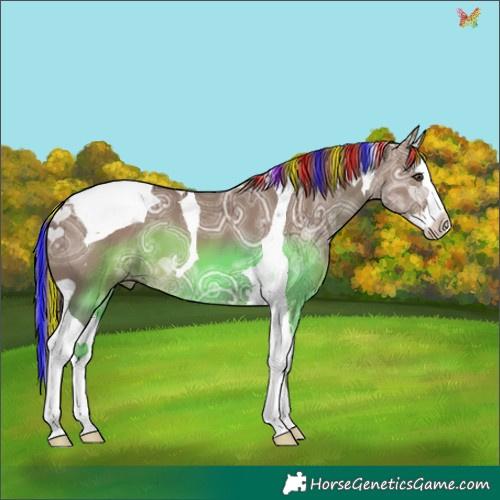 Horse Color:Painted Liver Red Dun Ice Splash Tobiano 