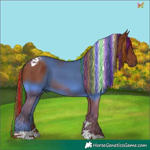 Horse Color:Painted Chestnut Tobiano 