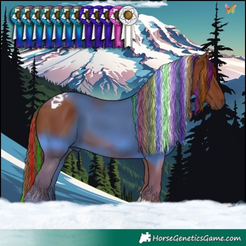 Horse Color:Painted Chestnut Tobiano 